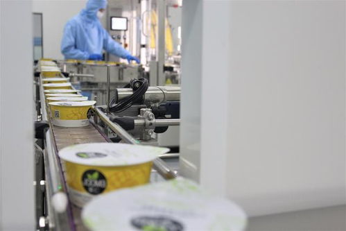 德国Noix在华设厂，以尖端生物基技术撬动高端植物基市场