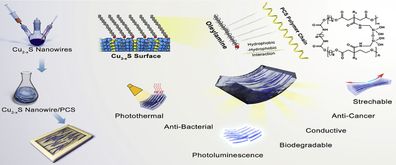 西安交大科研团队在生物基医用植入材料领域取得重大突破