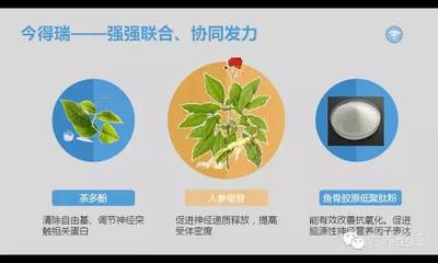 脑健康新纪元 今得瑞以生物基材料技术，守护幸福生活之源