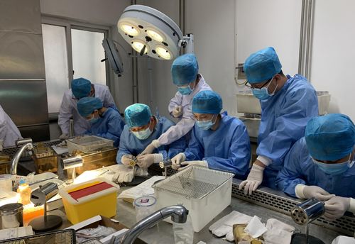 生物基材料技术研发 动物实验基础操作技术培训班圆满结束